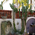 Cozy Casita II, The Lovely Courtyard