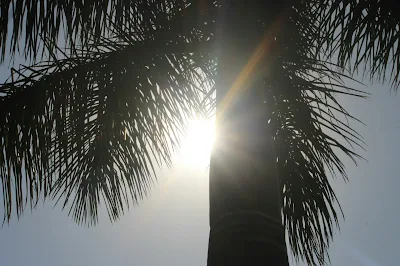 los mejores protectores solares para piel madura