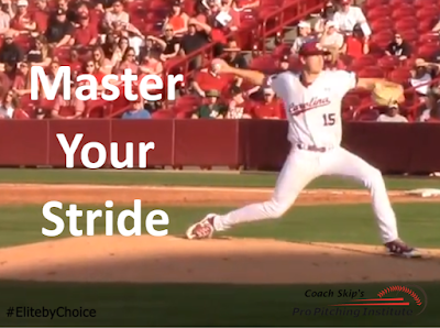 Pro Pitching Institute