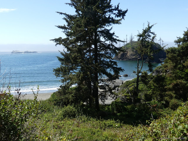 view of beach and stacks obscured by trees