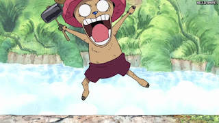 ワンピース アニメ 空島 スカイピア 161話 チョッパー かわいい Tony Tony Chopper | ONE PIECE Episode 161 Skypiea