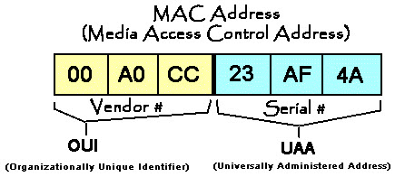 What is MAC Address and How to Find Out Your MAC Address