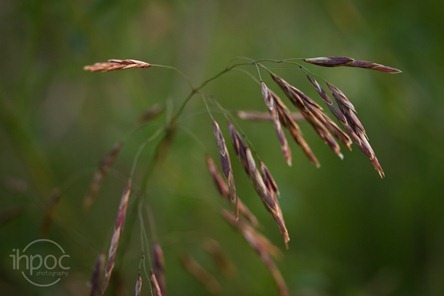 IMG_5805
