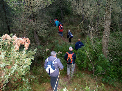 Seguint el corriol sota el Pujol de la Guàrdia