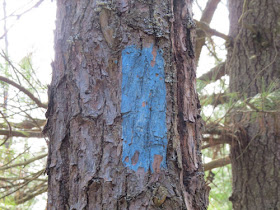 North Country Trail blue blaze