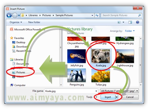 Penyisipan gambar ke dalam slide merupakan hal yang patut harus diketahui oleh seorang pre Cara Menyisipkan Gambar dari File ke Slide Powerpoint