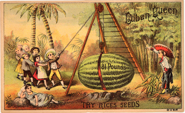 semillas, seeds, poster, agriculture, agricultura