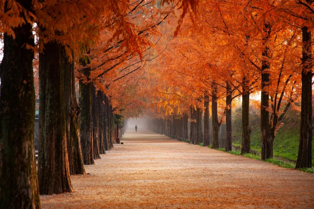 clima de otoño imágenes bonitas