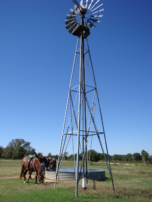 Grasslands - Valley View Area