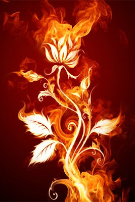 Fire Rose: apple iphone wallpaper