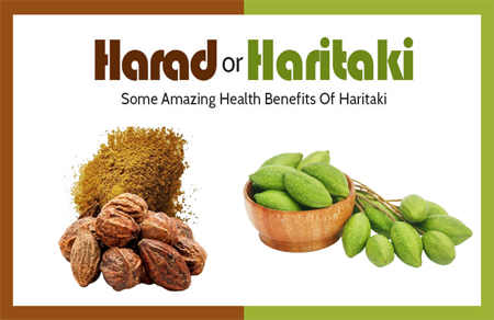 Harad, Haritaki, Terminalia chebula, Why Harad Is Useful In All Seasons, Benefits of Harad, Health Benefits of Harad