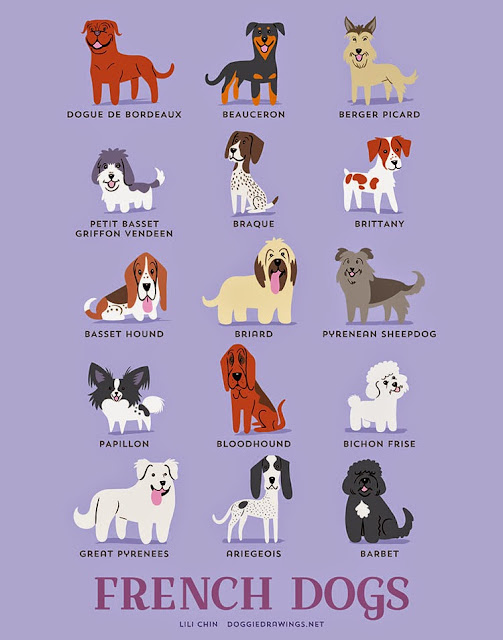 “Dogs Of The World” pósters para conocer el origen de varias razas de perros