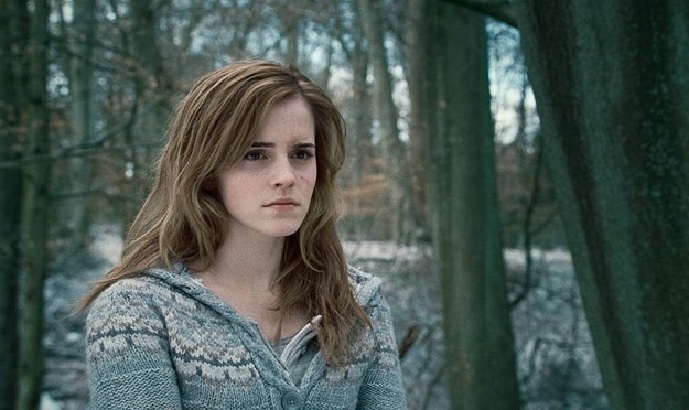 hermione harry potter. harry potter and the deathly