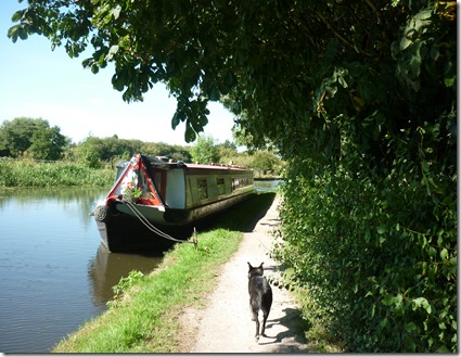13 lunchtime mooring above shipley lock