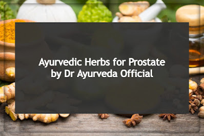 Ayurvedic Herb for Prostate by Dr Ayurveda