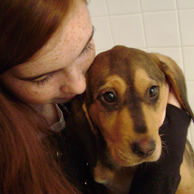 As had Willow, a bloodhound mix, and her brothers. Puppies never stay long 