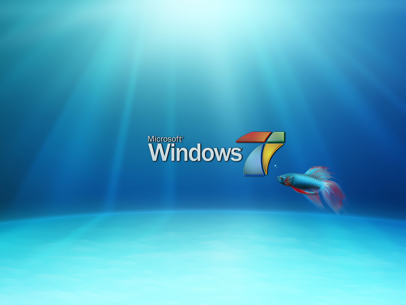 window 7 HD Wallpaper: HD Wallpapers of Windows 7 2
