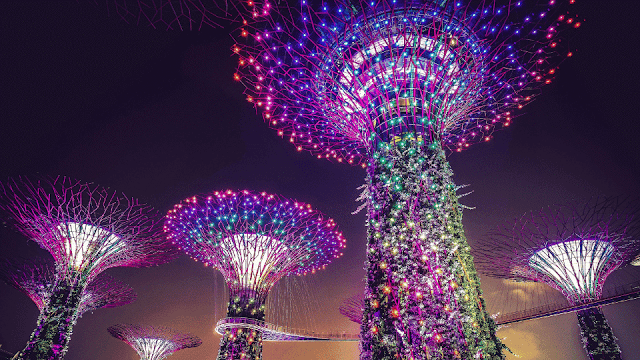 Gardens by the Bay