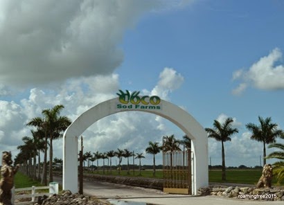 Sod Farms