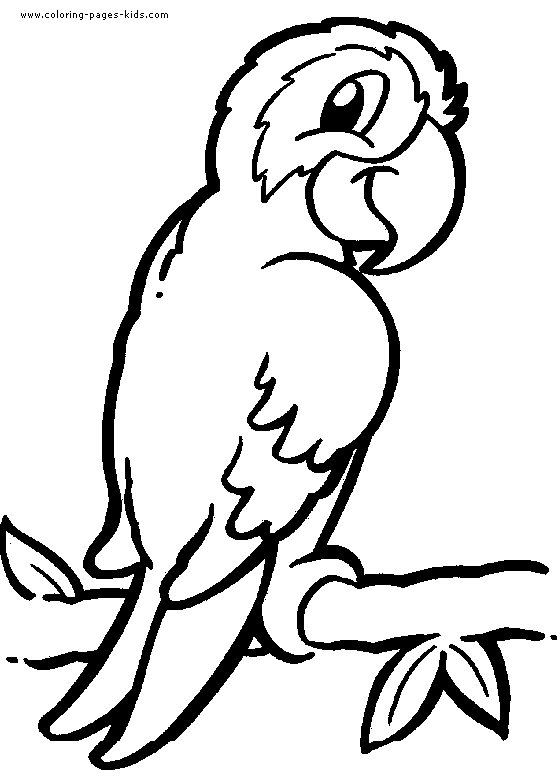 animal coloring pages