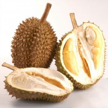 Mengenal Manfaat Dari Buah Durian