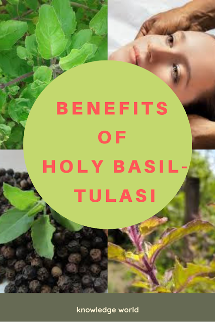 तुलसी के उपयोग और फायदे-tulsi ke upyog aur fayede-health benefits of tulsi