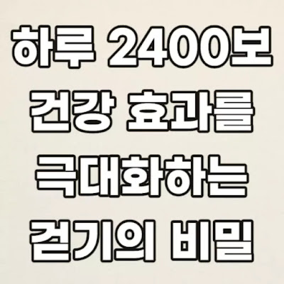 하루-2400보-건강의-비밀