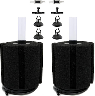 Sponge Filter with Air Stone