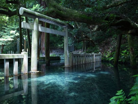 茨城県のパワースポット鹿島神社 池の中に鳥居が浮かぶ風景 C ミライノシテン