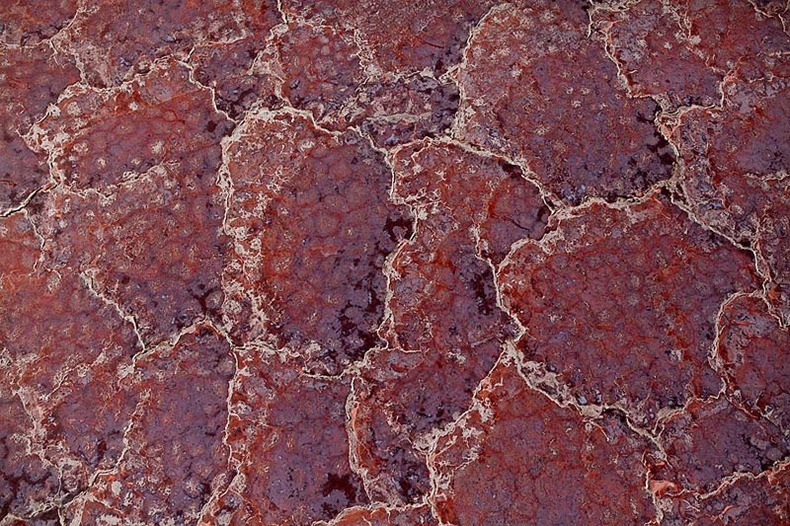 Lake-Natron-Tanzania-aerial-shot1