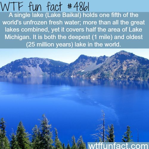 40 Amazing Random WTF Facts