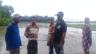 Satu Jam Diguyur Hujan, Puluhan Hektar Sawah di Desa Tumpu Jadi Lautan