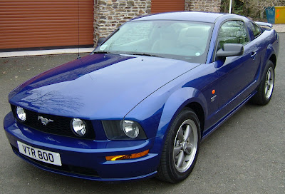 Blue Mustang