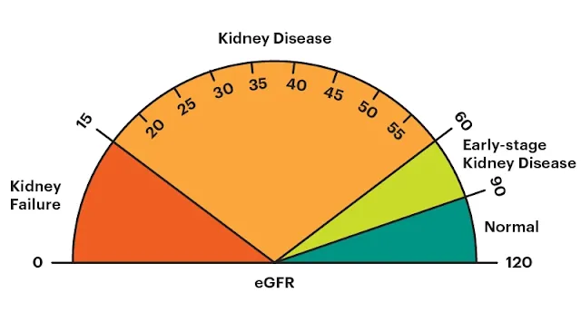 glomerular filtration rate