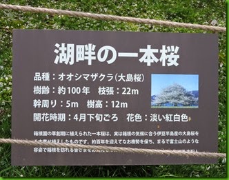 DSCN6400