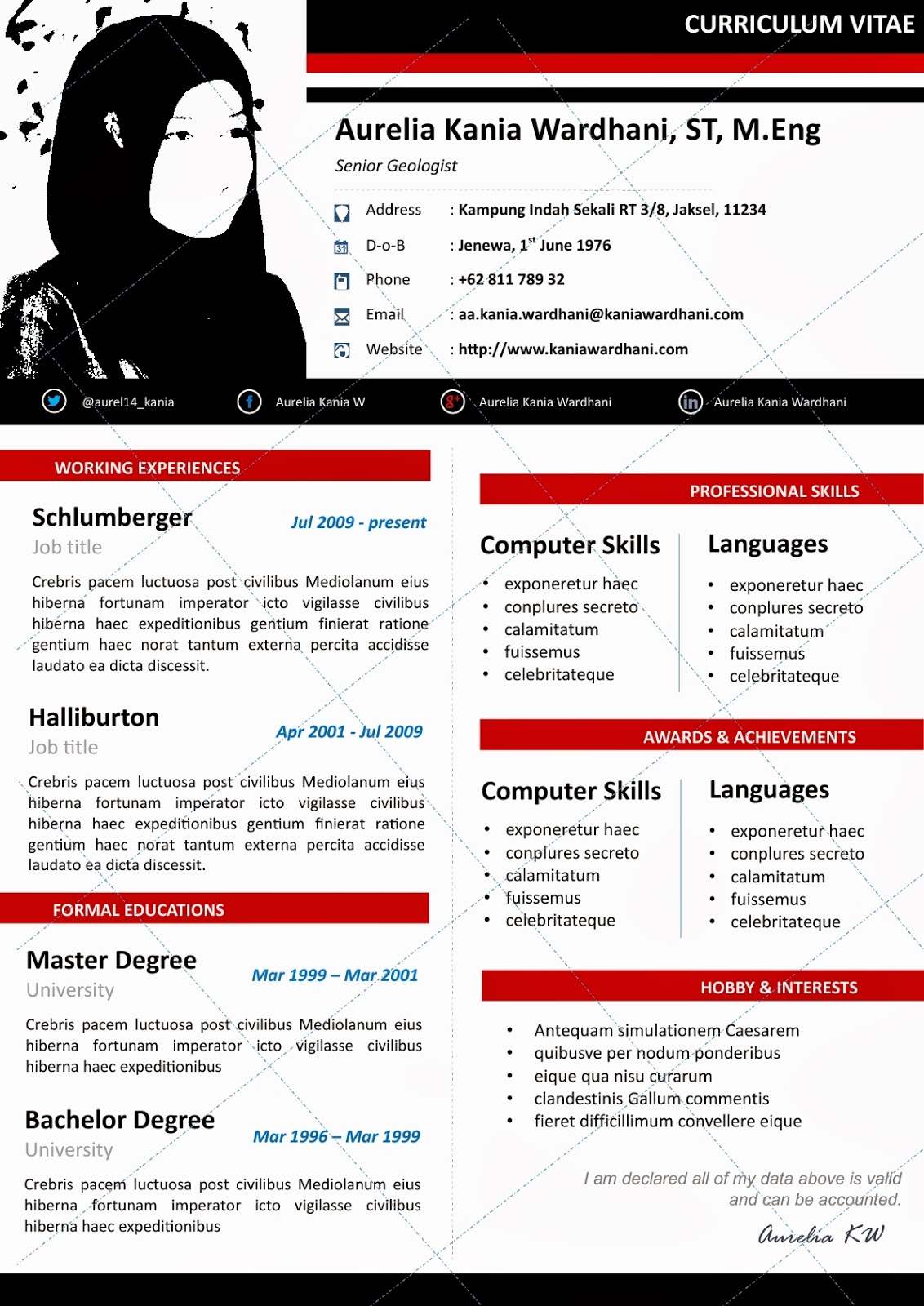 Desain CV Kreatif: Contoh Curriculum Vitae