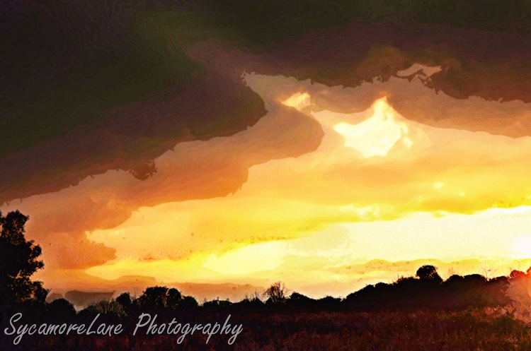 Watercolor blackbirds and sunset-3