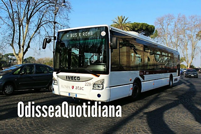 I dati sui bus in giro per Roma