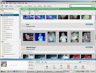 Google picasa application software