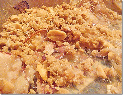 chipolte and apple crisp 052