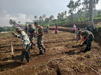 Babinsa Koramil Bumijawa Bantu Warga Tanam Jagung