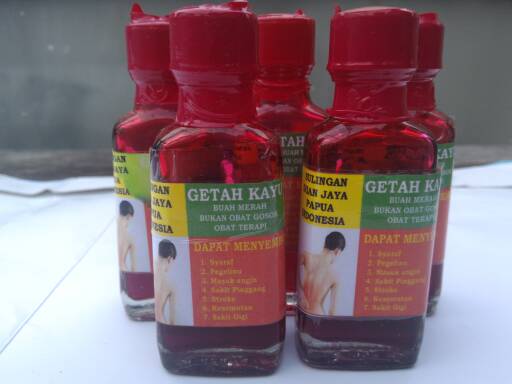 Minyak Getah Kayu  Buah Merah  Papua Obat Tradisional 