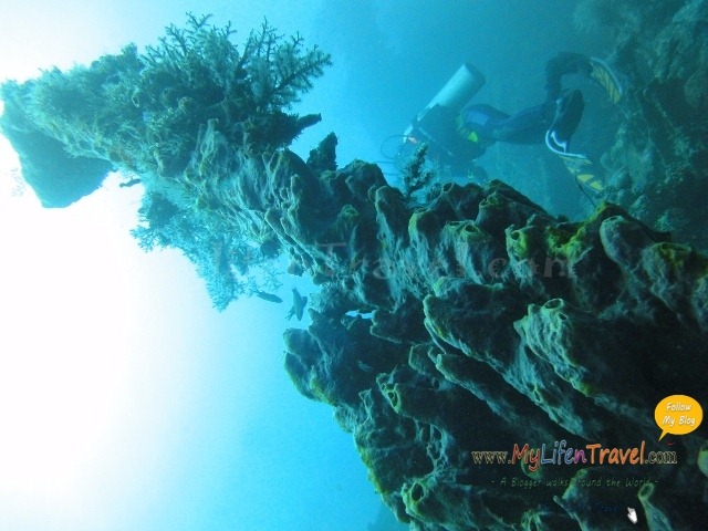 Diving Amed Bali 38