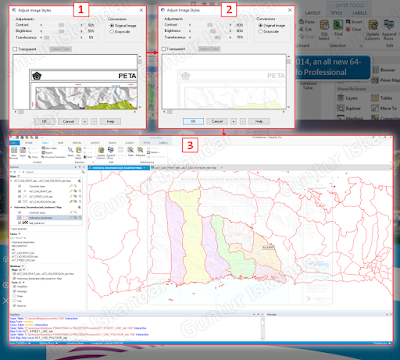 Adjustment Image Styles di Mapinfo 12