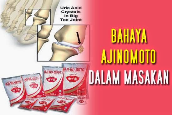 BAHAYA AJINOMOTO