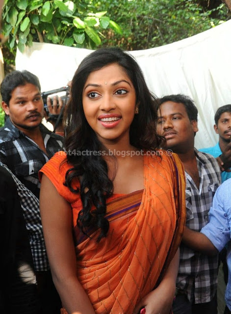 Amala paul half saree pictures