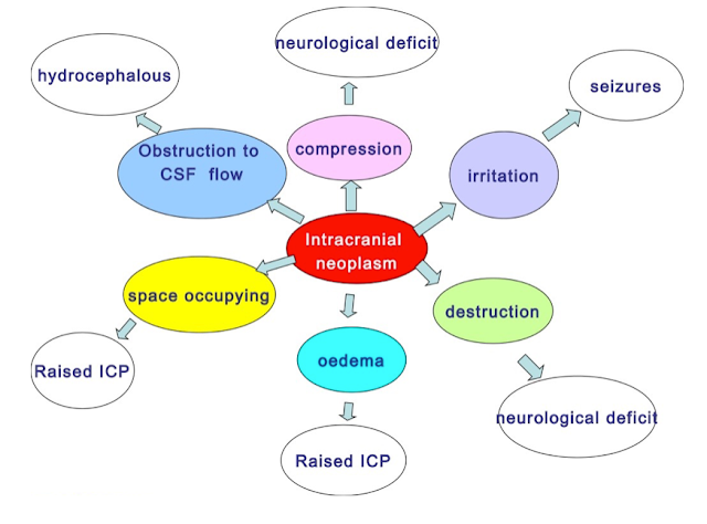 Pathophysiological affects of intracranial neoplasms