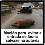 http://bngouteiro.blogspot.com.es/2015/03/proposta-do-bng-para-evitar-accidentes.html