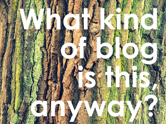 What kind of blog is this, anyway? What kind of blog is this, anyway?