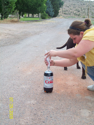 diet coke and mentos volcanos